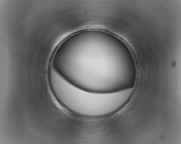 X0000090861038200707270929