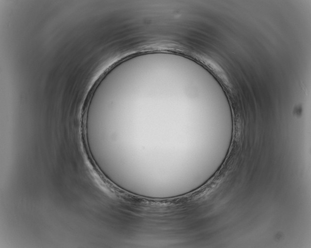 X0000090861039200707270929