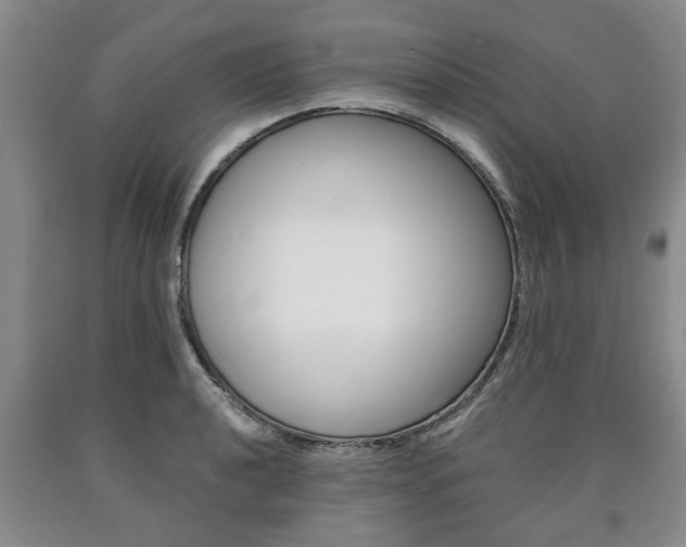 X0000090861040200707270929
