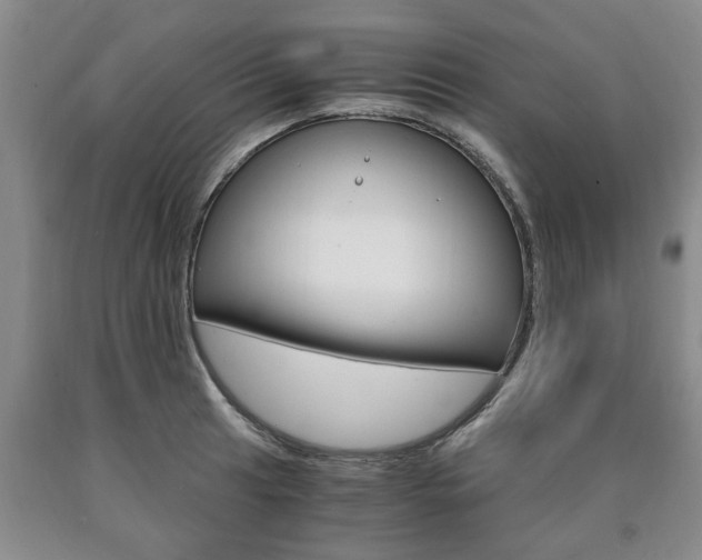 X0000090861041200707270929