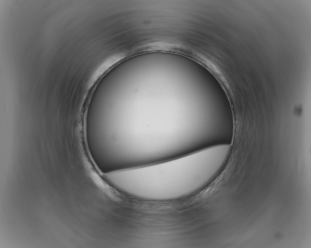 X0000090861042200707270929