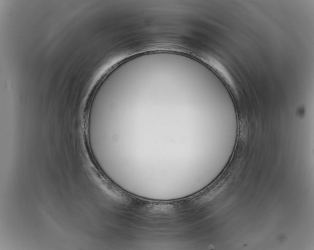 X0000090861043200707270929