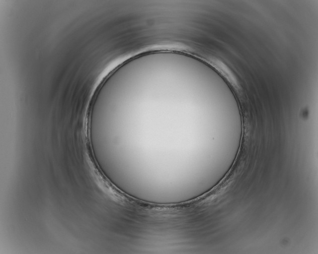 X0000090861044200707270929
