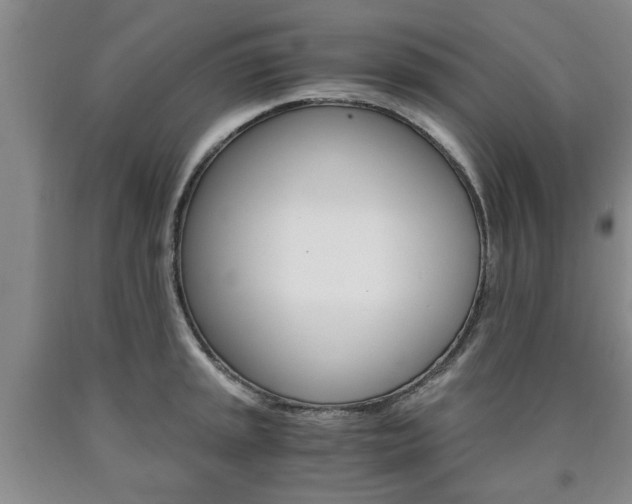 X0000090861045200707270929