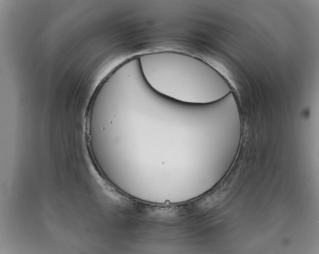 X0000090861047200707270929