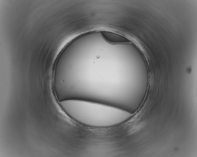 X0000090861048200707270929