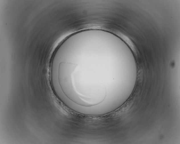X0000090861051200707270929