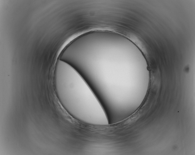X0000090861052200707270929