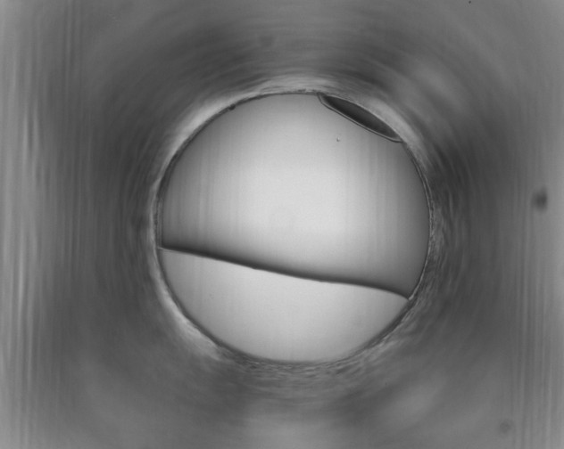 X0000090861055200707270929