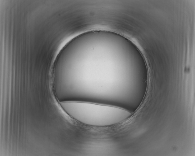X0000090861056200707270930