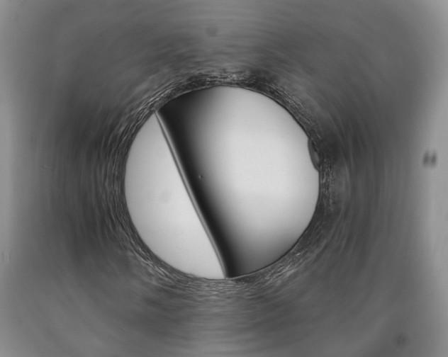 X0000090861058200707270929