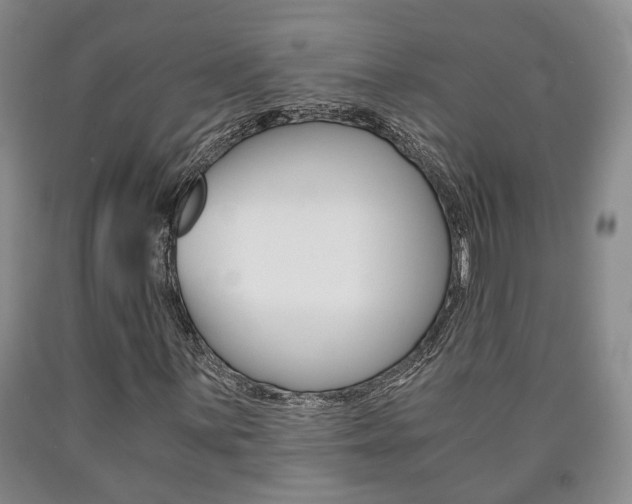 X0000090861059200707270929