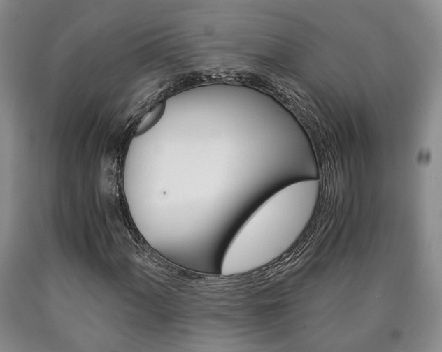 X0000090861060200707270929