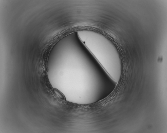 X0000090861062200707270929