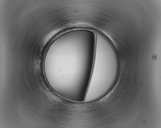 X0000090861066200707270929