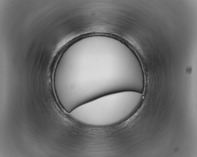 X0000090861070200707270929