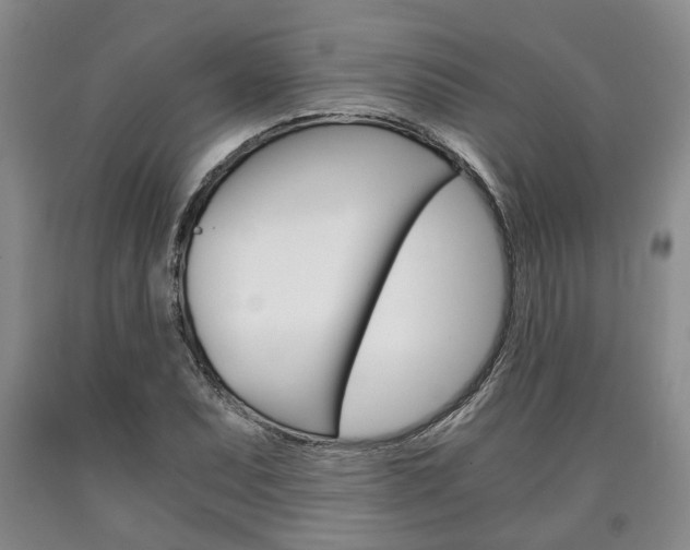 X0000090861071200707270929