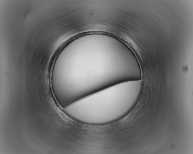 X0000090861072200707270929