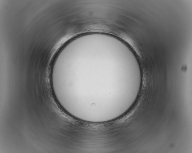 X0000090861074200707270929