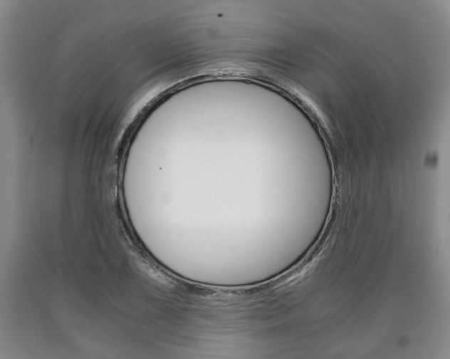 X0000090861075200707270929