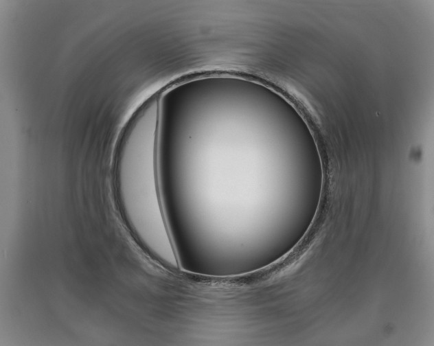 X0000090861077200707270929