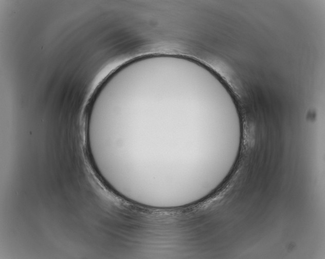 X0000090861078200707270929