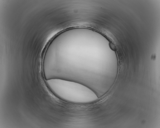 X0000090861079200707270929