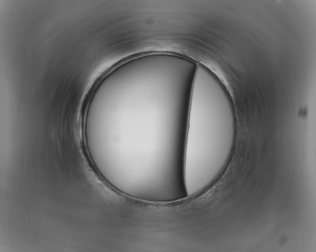 X0000090861080200707270929
