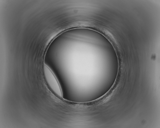 X0000090861081200707270929