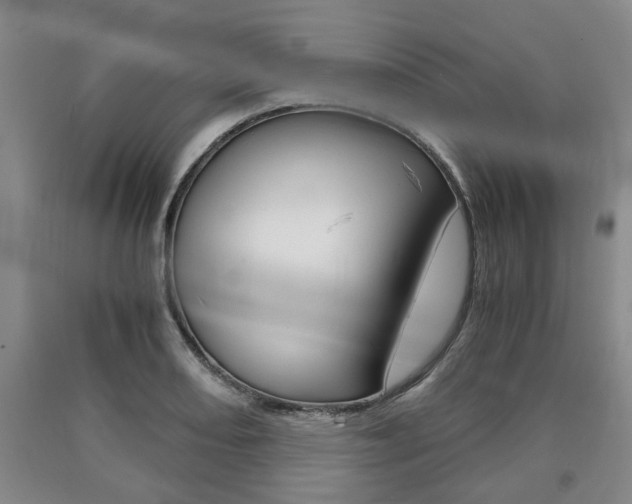 X0000090861082200707270929