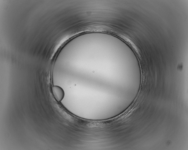 X0000090861083200707270929