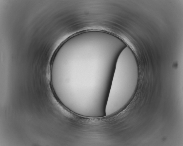 X0000090861084200707270929