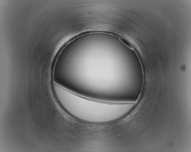 X0000090861085200707270929