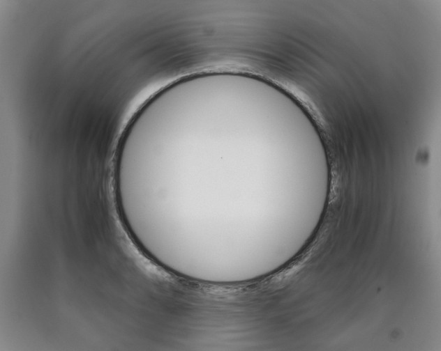 X0000090861086200707270929