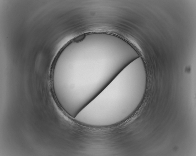 X0000090861087200707270929