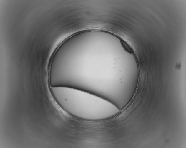 X0000090861088200707270929
