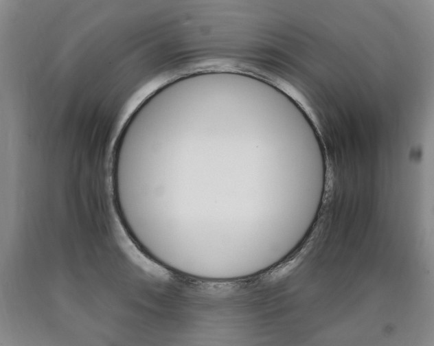 X0000090861090200707270929
