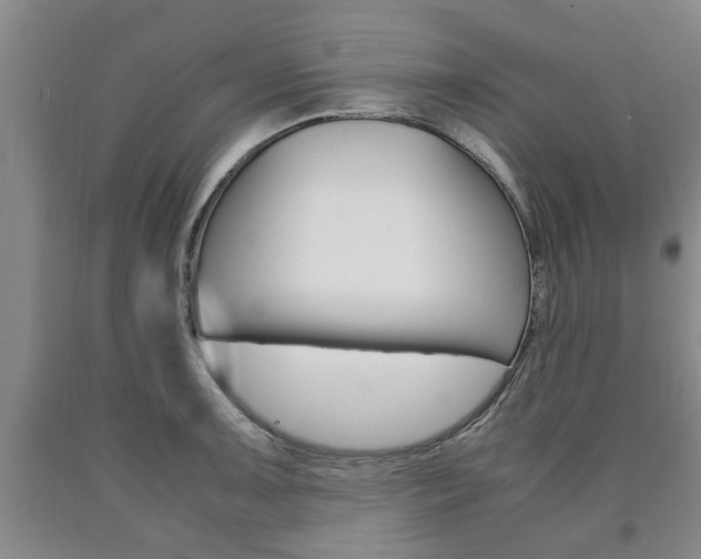 X0000090861091200707270928