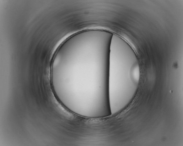 X0000090861092200707270928