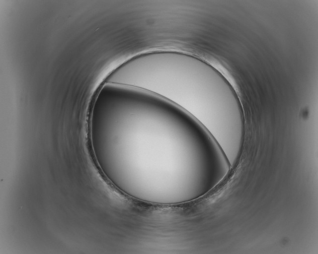 X0000090861093200707270928