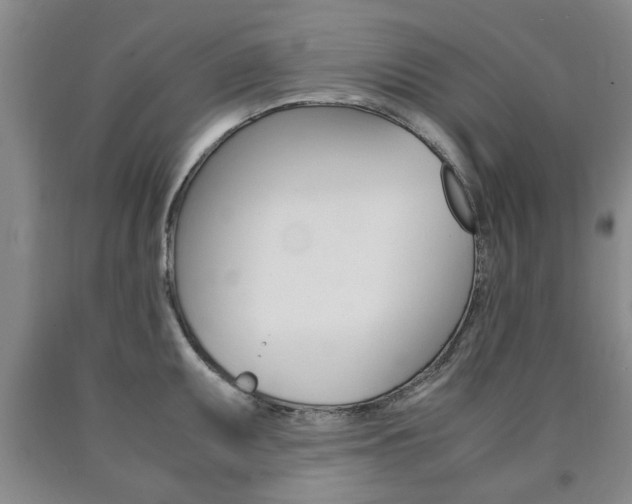 X0000090861095200707270928