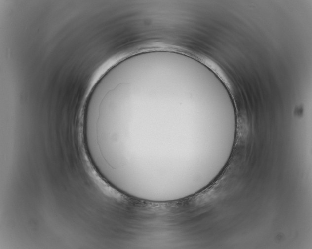 X0000090861098200707270928