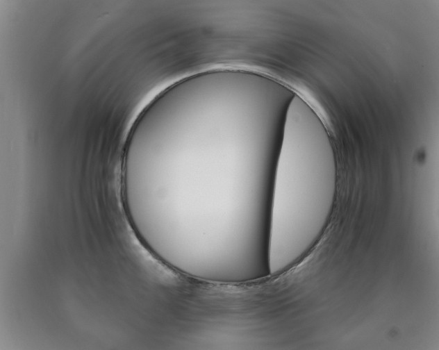 X0000090861100200707270928