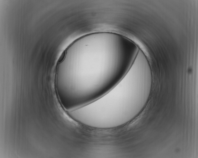 X0000090861102200707270928