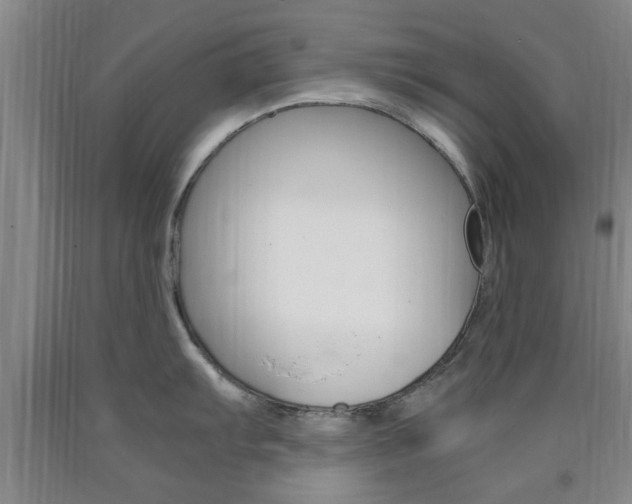 X0000090861103200707270928