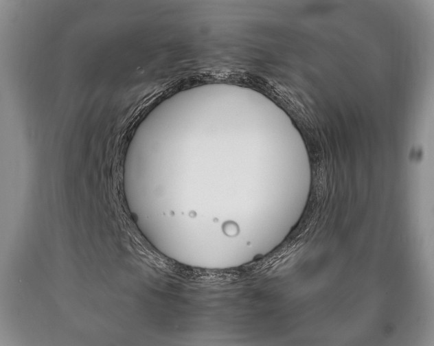 X0000090861105200707270928