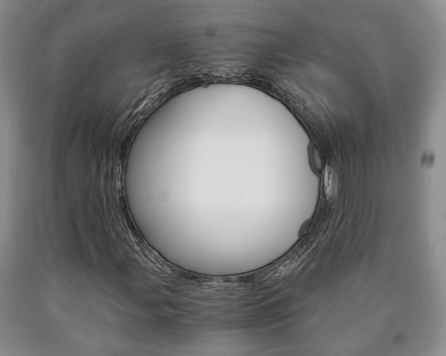 X0000090861107200707270928