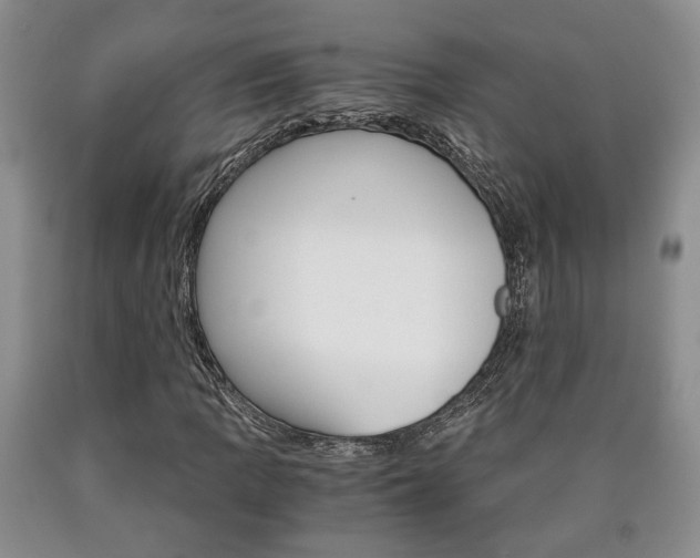 X0000090861109200707270928