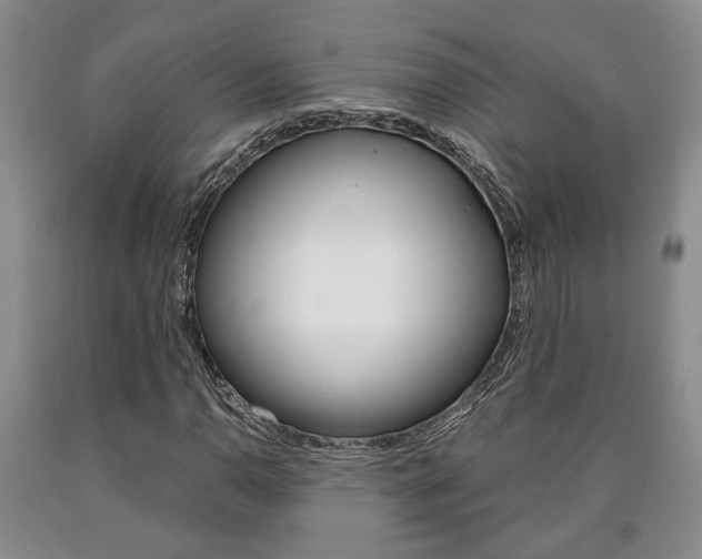 X0000090861110200707270928