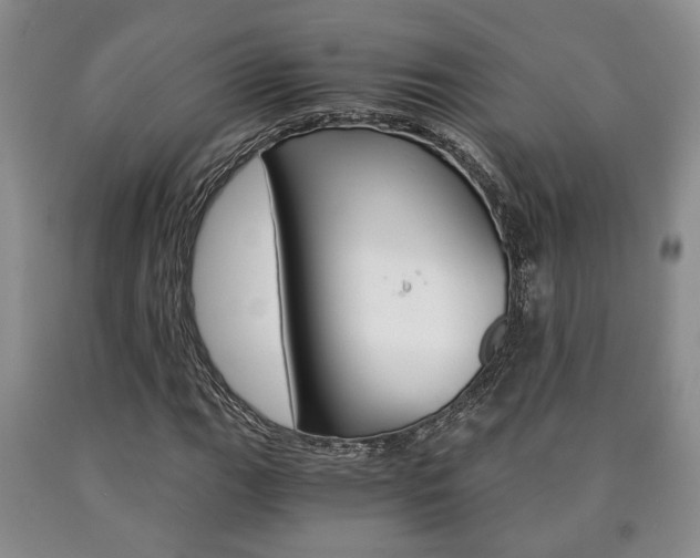 X0000090861111200707270928